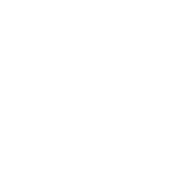 ce logo Brunswick