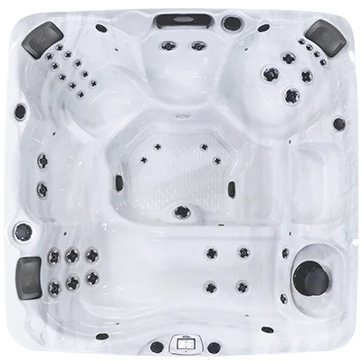 Avalon-X EC-840LX hot tubs for sale in Brunswick