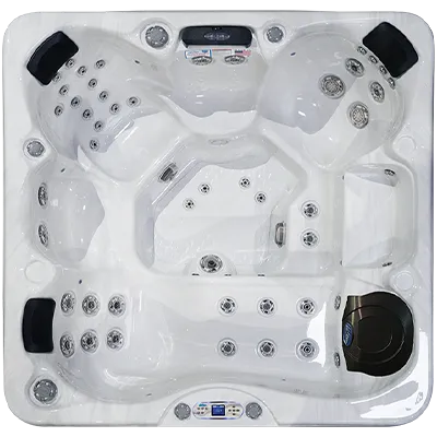 Avalon EC-849L hot tubs for sale in Brunswick