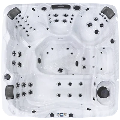 Avalon EC-867L hot tubs for sale in Brunswick