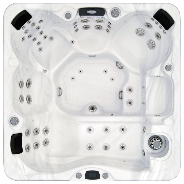 Avalon-X EC-867LX hot tubs for sale in Brunswick
