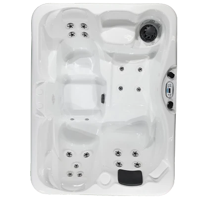 Kona PZ-519L hot tubs for sale in Brunswick